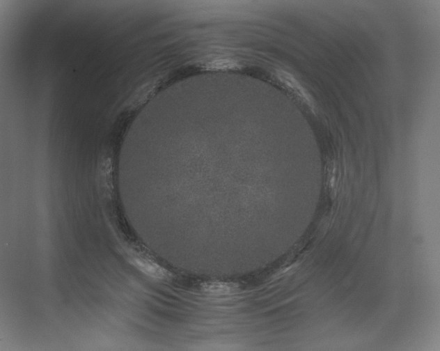 X0000071810549200606301230