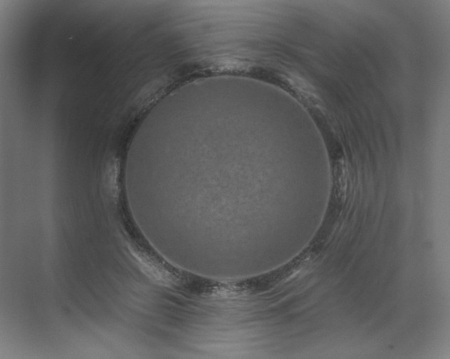 X0000071810550200606301230