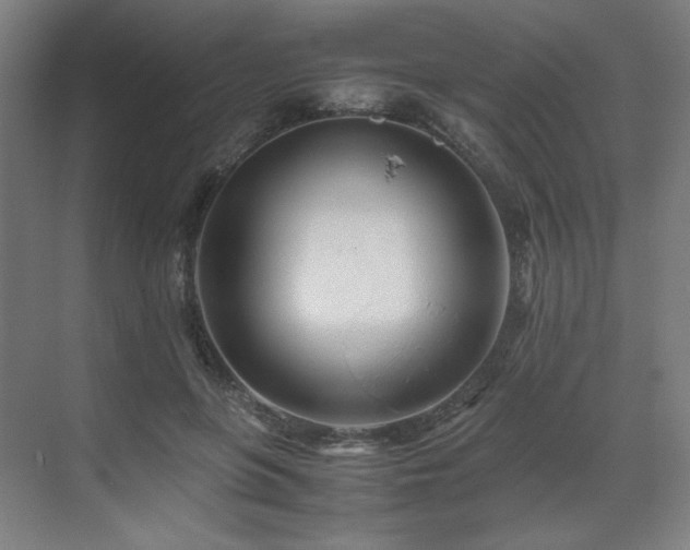 X0000071810551200606301230