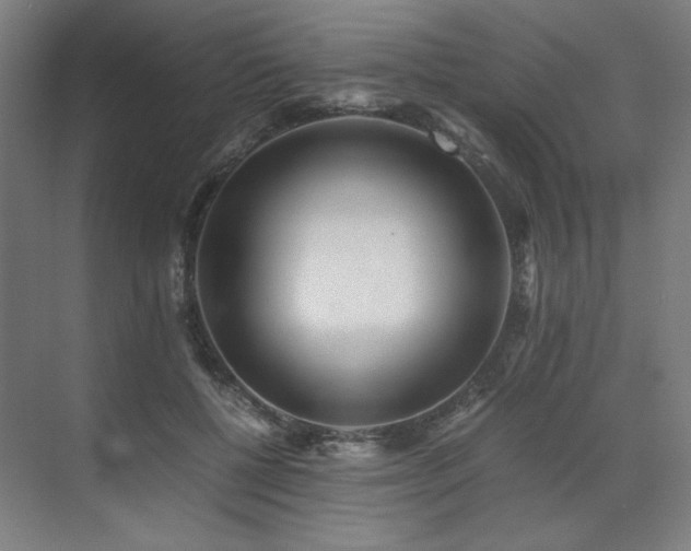 X0000071810552200606301230