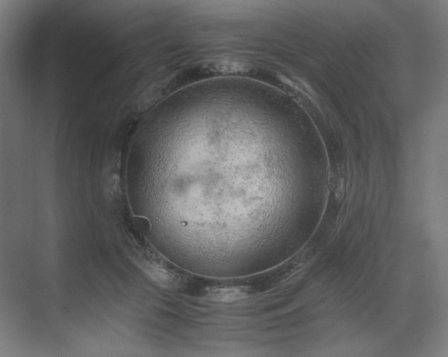 X0000071810553200606301230