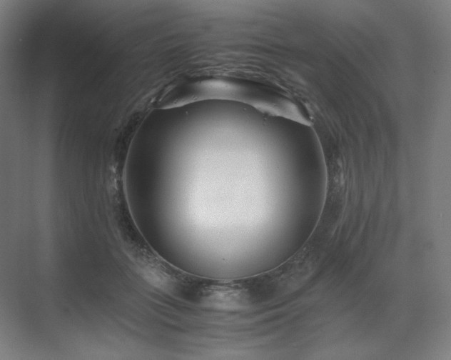 X0000071810555200606301230