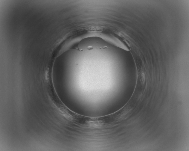 X0000071810556200606301230