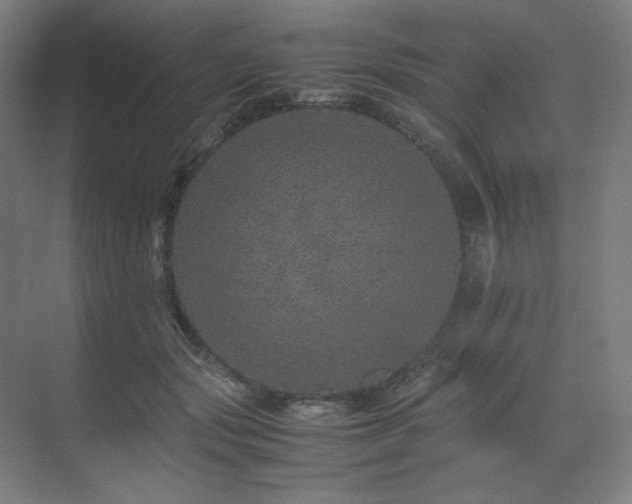 X0000071810557200606301230