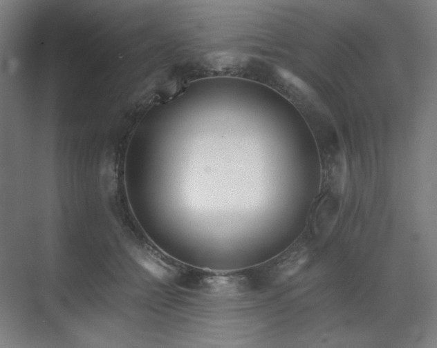 X0000071810558200606301230