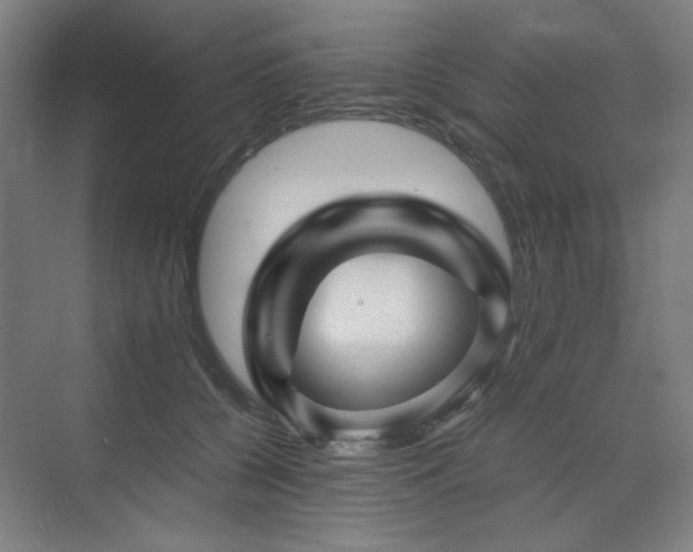 X0000071810560200606301230