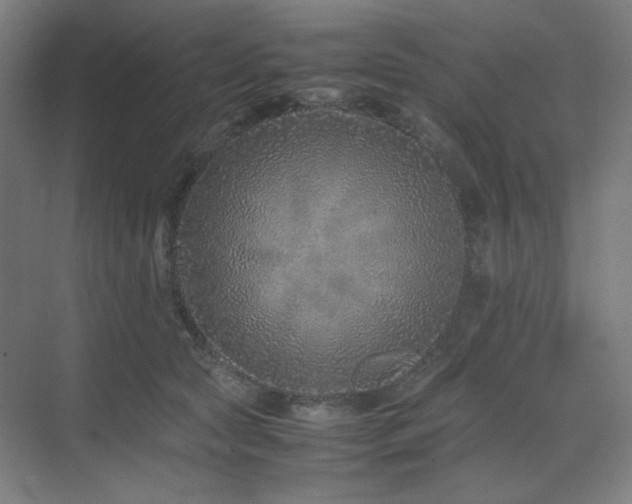 X0000071810561200606301230