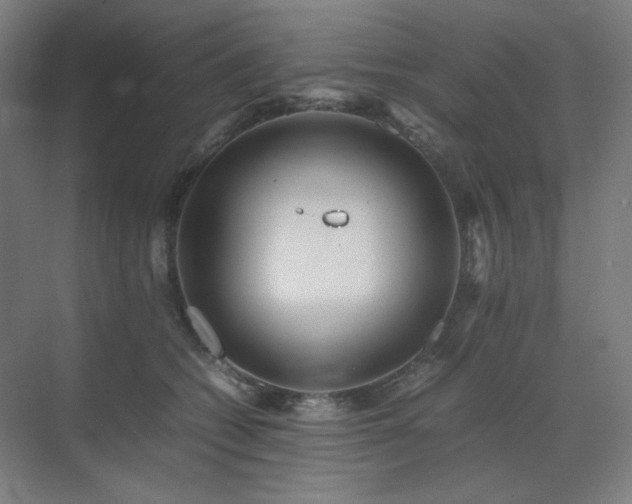 X0000071810562200606301230