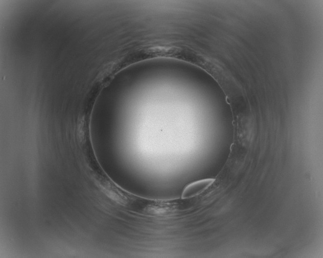 X0000071810563200606301230