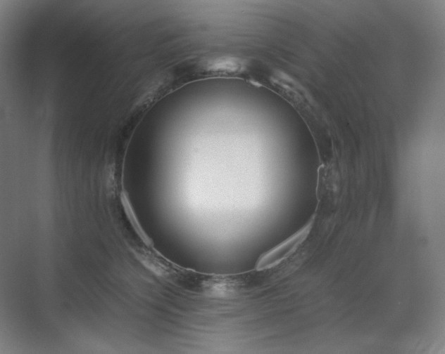 X0000071810564200606301230