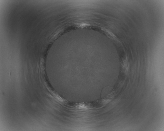 X0000071810565200606301230