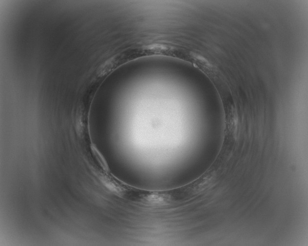 X0000071810566200606301230