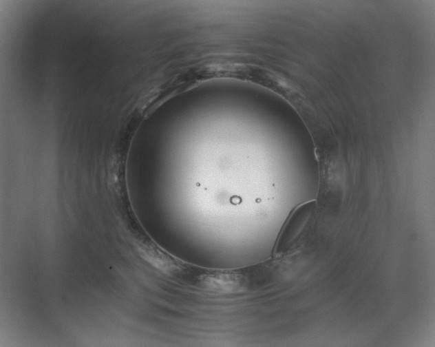 X0000071810567200606301230