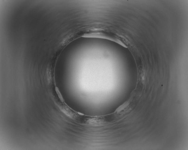 X0000071810568200606301230