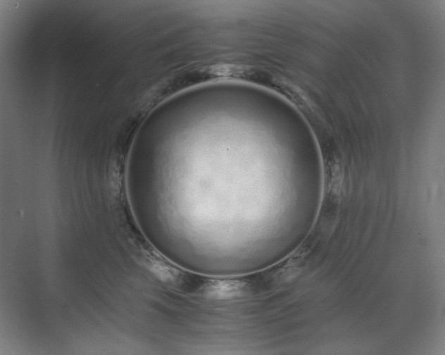 X0000071810569200606301230