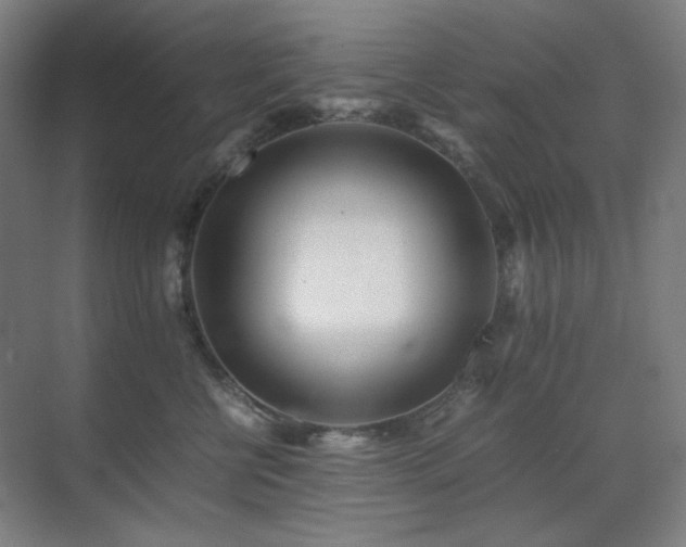 X0000071810570200606301230