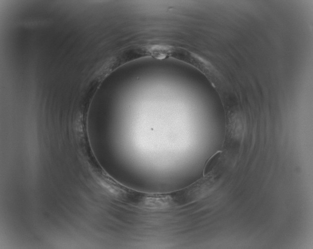 X0000071810571200606301230