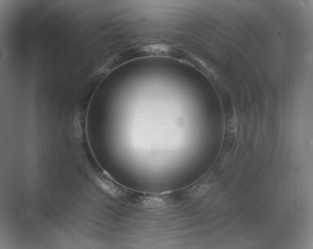 X0000071810572200606301230