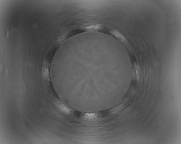 X0000071810573200606301230