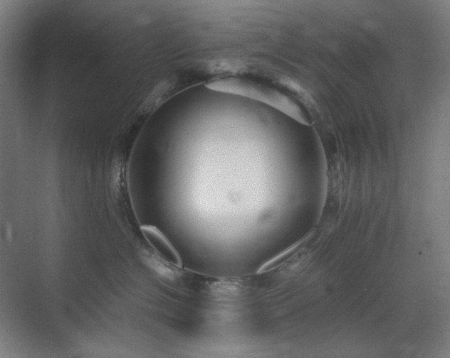 X0000071810574200606301230