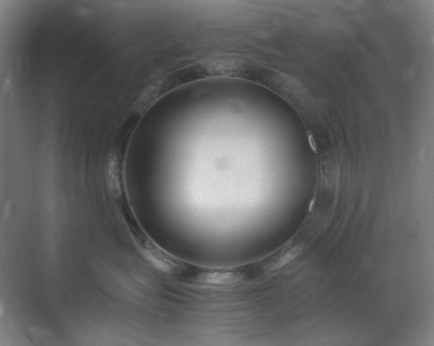 X0000071810575200606301230