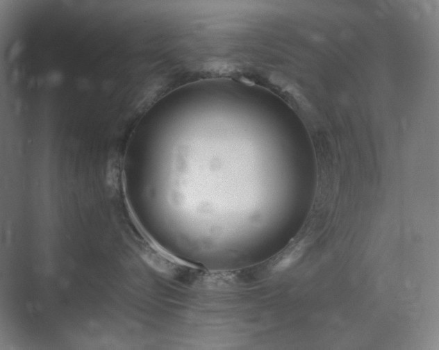 X0000071810576200606301230