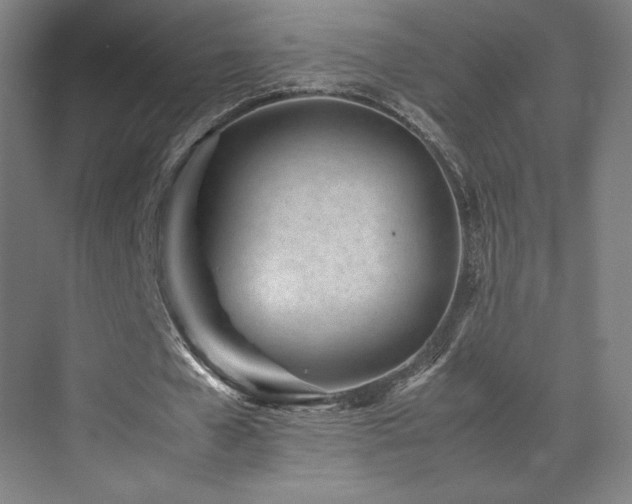 X0000071810577200606301229