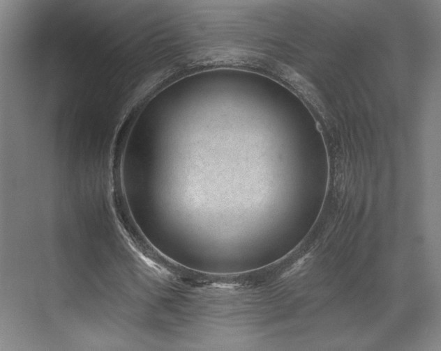 X0000071810578200606301229