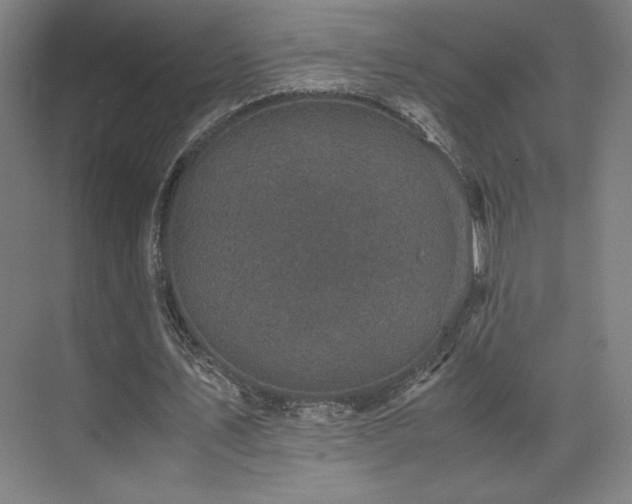 X0000071810579200606301229