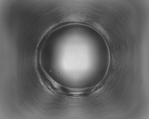 X0000071810580200606301229