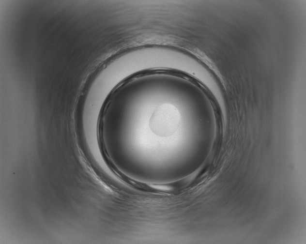 X0000071810581200606301229