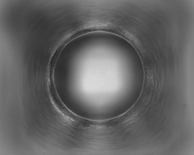 X0000071810582200606301229