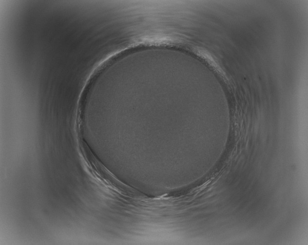 X0000071810583200606301229