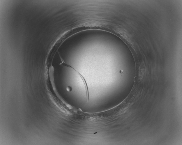 X0000071810584200606301229