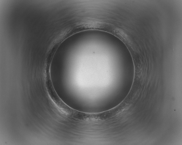 X0000071810586200606301229