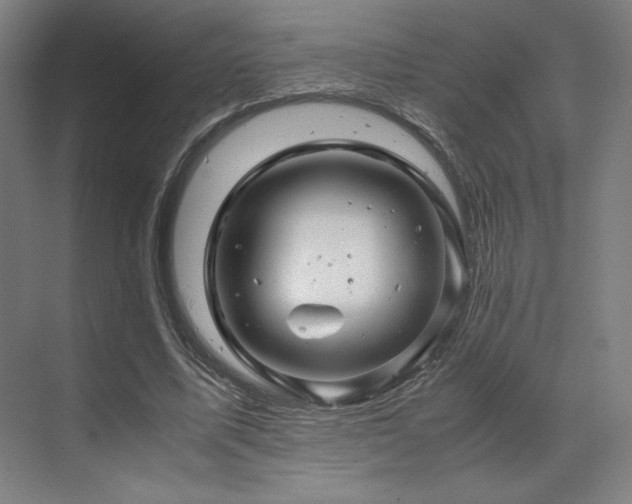 X0000071810587200606301229