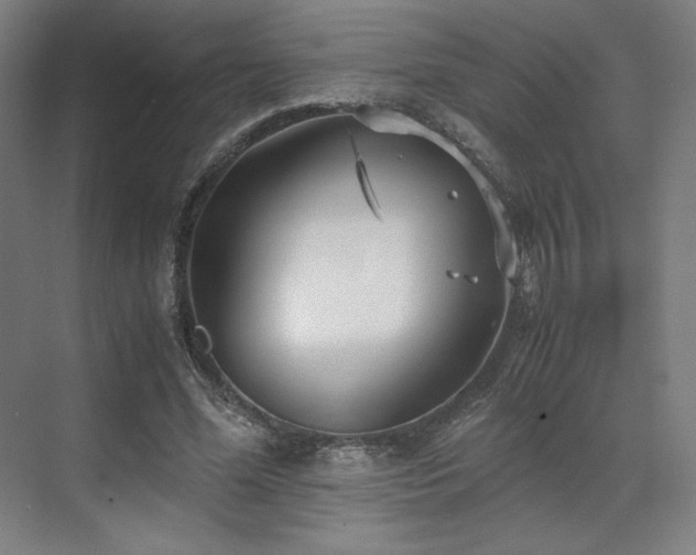 X0000071810588200606301229