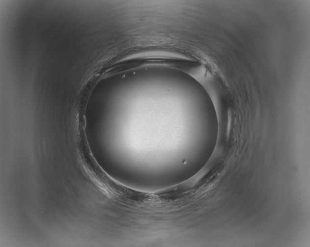 X0000071810589200606301229