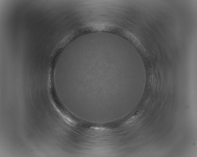 X0000071810590200606301229