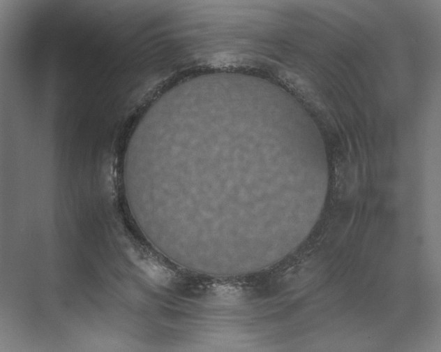 X0000071810592200606301229