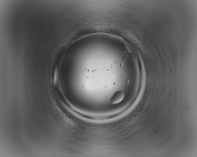 X0000071810593200606301229