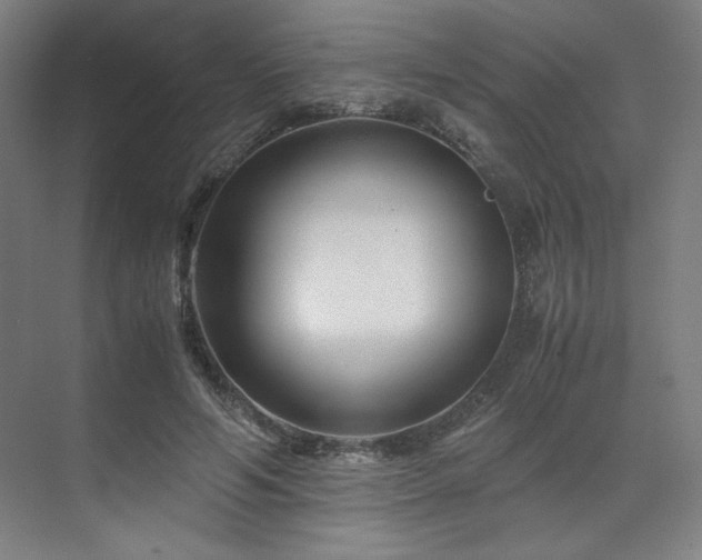 X0000071810594200606301229