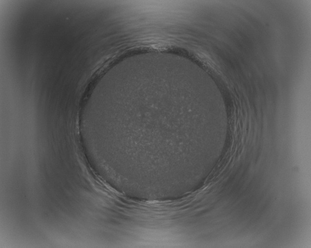 X0000071810595200606301229