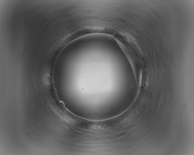 X0000071810596200606301229