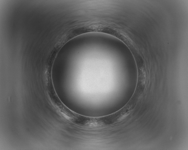 X0000071810597200606301229