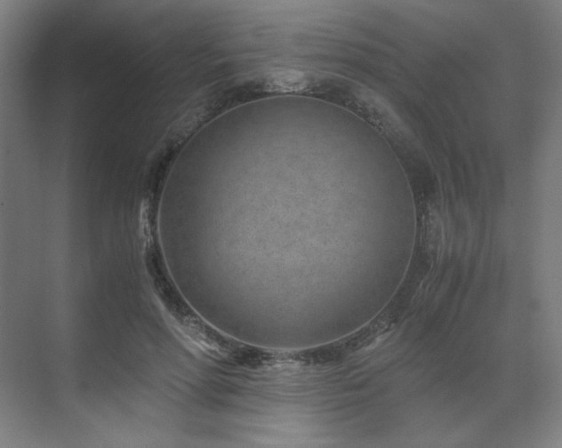 X0000071810598200606301229