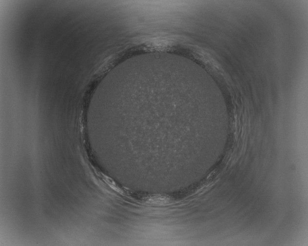 X0000071810599200606301229