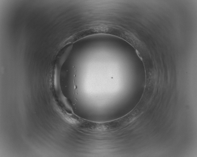 X0000071810600200606301229