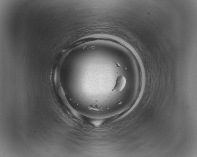 X0000071810601200606301229