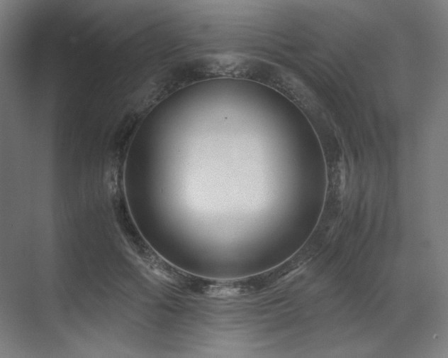 X0000071810602200606301229